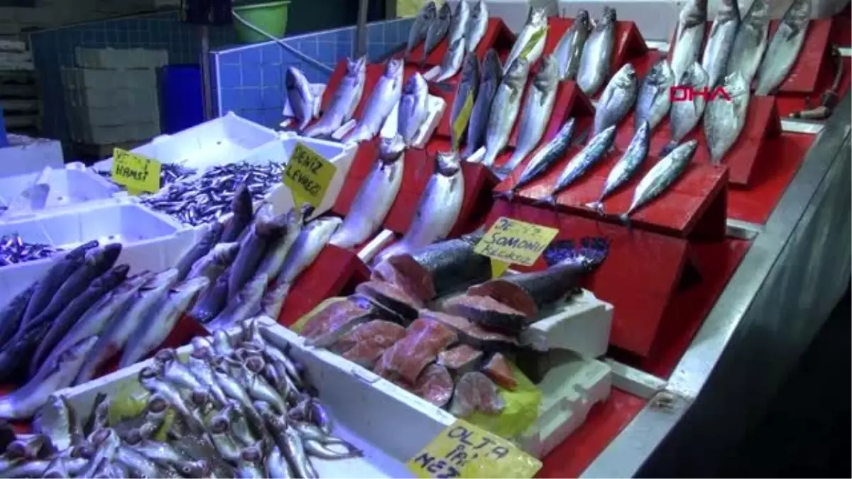 Samsun az avlanan palamudun fiyatı arttı