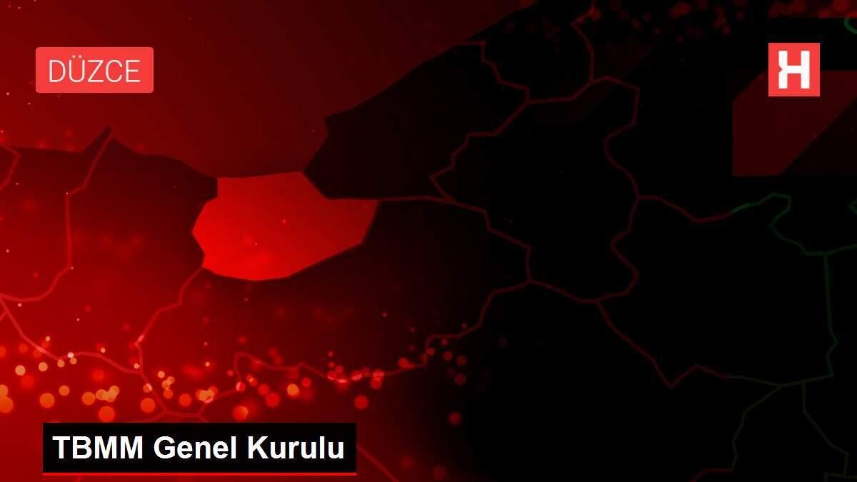 TBMM Genel Kurulu TBMM Genel Kurulu