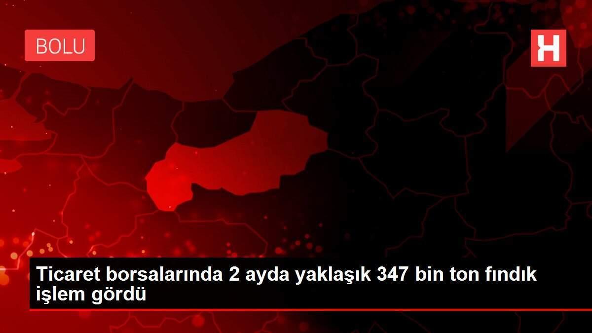 Ticaret borsalarında 2 ayda yaklaşık 347 bin ton fındık işlem gördü