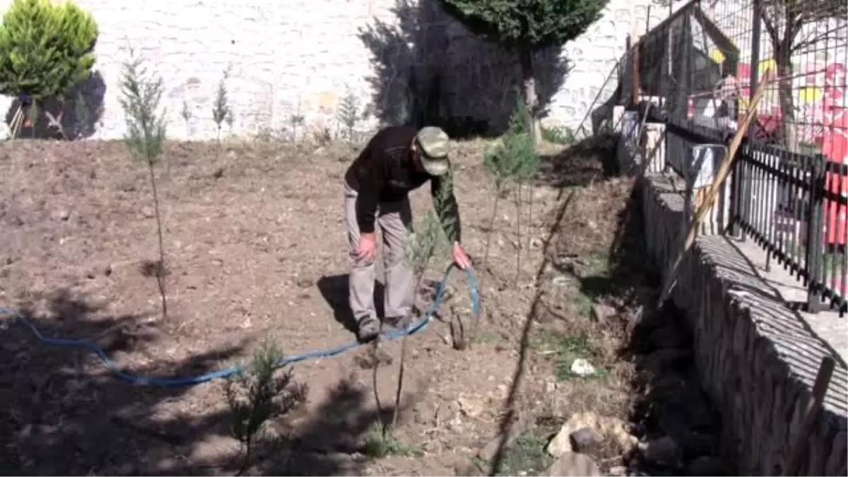 Tohumlarını Anıtkabir'den getirerek yetiştirdiği fidanları toprakla buluşturdu