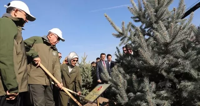 Türkiye, Çorum'da diktiği 303 bin fidanla, ağaç dikmede Guinness rekorunu kırdı,