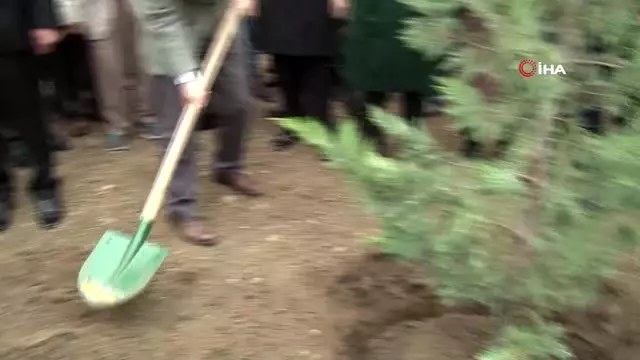 Yurt geneli fidan dikim seferberliği Yurt geneli fidan dikim seferberliği