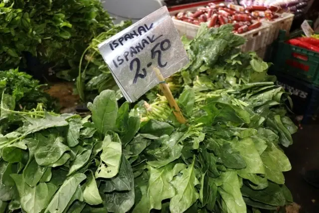 Zehirlenme vakaları ıspanak satışlarını düşürdü Zehirlenme vakaları ıspanak satışlarını düşürdü