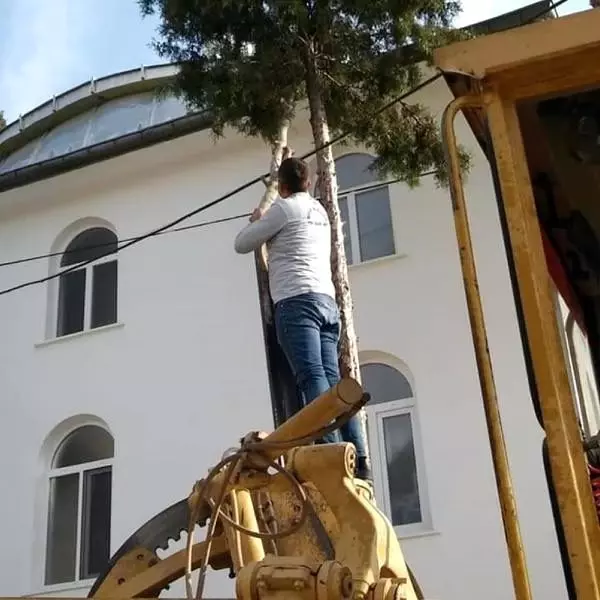 Ağaçta mahsur kalan kedi kurtarıldı Ağaçta mahsur kalan kedi kurtarıldı