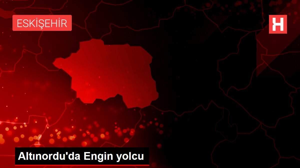 Altınordu'da Engin yolcu