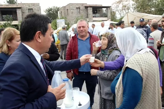 Bodrum'da süt yok satıyor