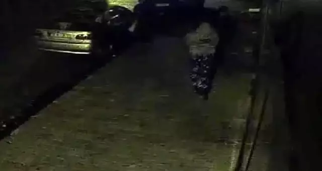 Cezaevi firarisi, etek giyip market soydu! O anlar böyle görüntülendi