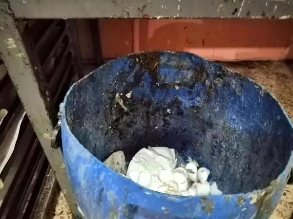 Gece baskın yapılan kaçak tatlı imalathanesi mühürlendi Gece baskın yapılan kaçak tatlı imalathanesi mühürlendi