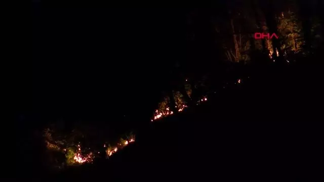 Giresun'da orman yangını Giresun'da orman yangını