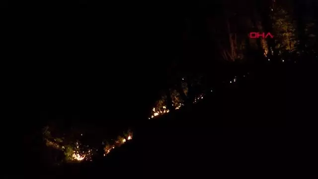 Giresun'da orman yangını Giresun'da orman yangını