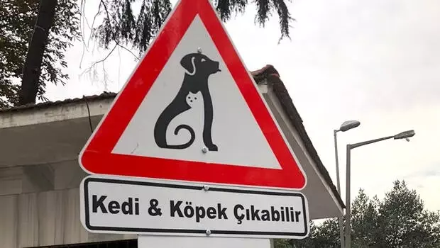 'Kedi&Köpek' çıkabilir 'Kedi&Köpek' çıkabilir