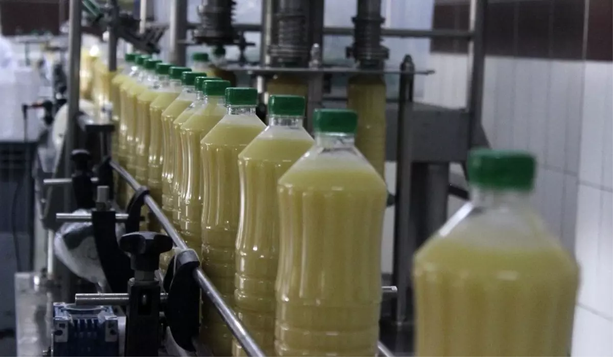 Meyveli boza üreten Bursalı firma, ABD'ye bile satış yapıyor