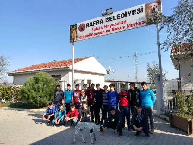 Öğrenciler hayvan barınağında