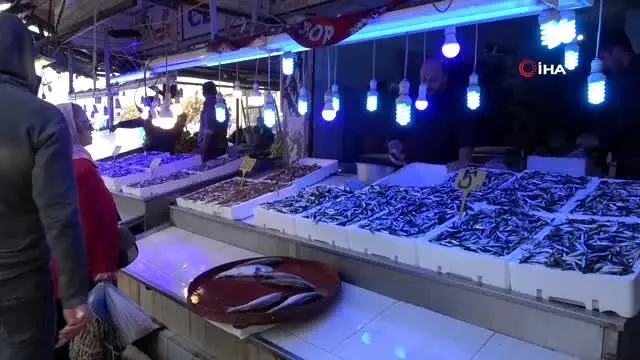 Hamsi fiyatıyla yüzleri güldürmeye devam ediyor Hamsi fiyatıyla yüzleri güldürmeye devam ediyor