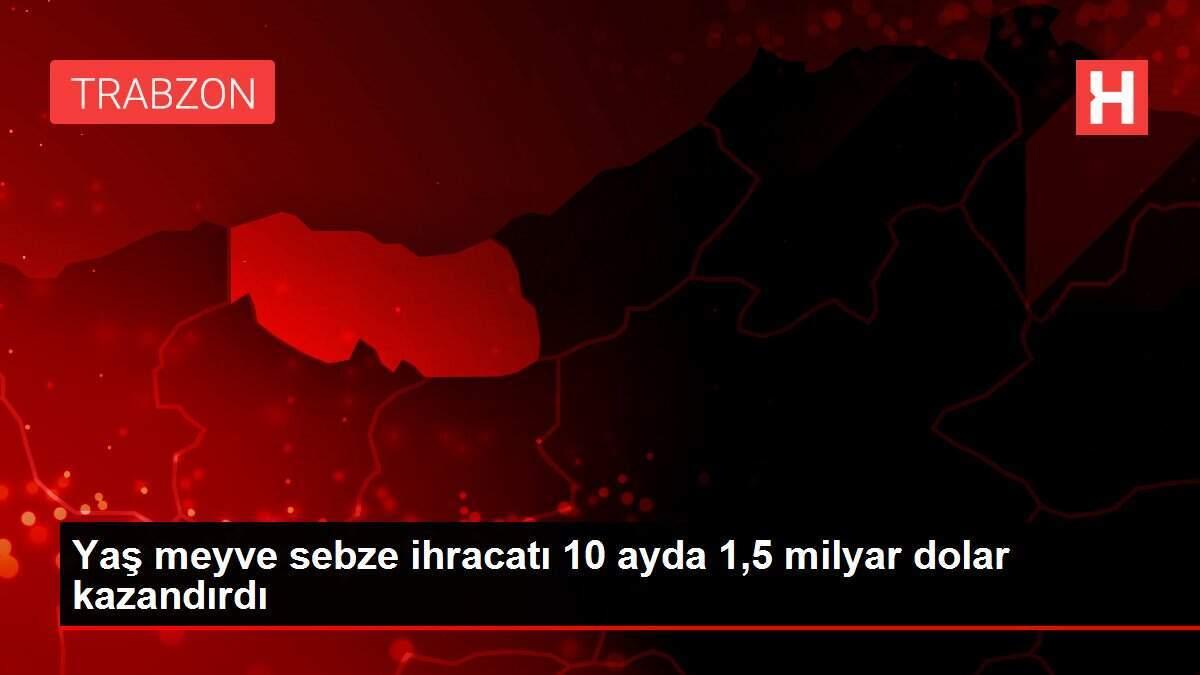 Yaş meyve sebze ihracatı 10 ayda 1,5 milyar dolar kazandırdı