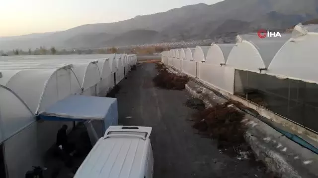 Ahıska Türkleri sürgün zulmünü anlattı