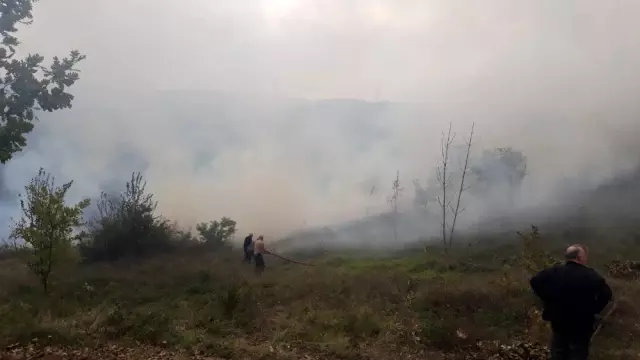 Altınova'da orman yangını