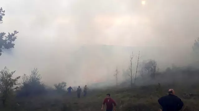 Altınova'da orman yangını Altınova'da orman yangını