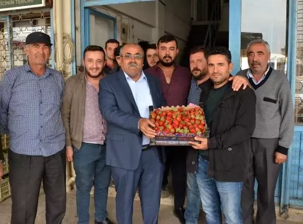 Antalya'da mevsimin ilk çileği kilosu 10 liradan alındı Antalya'da mevsimin ilk çileği kilosu 10 liradan alındı
