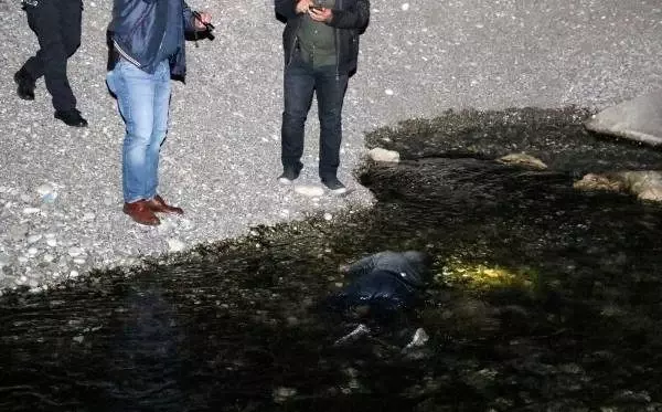 Askerden geldi, suda cesedi bulundu Askerden geldi, suda cesedi bulundu
