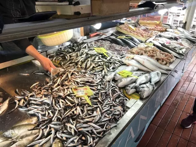 Balık fiyatları el yakıyor