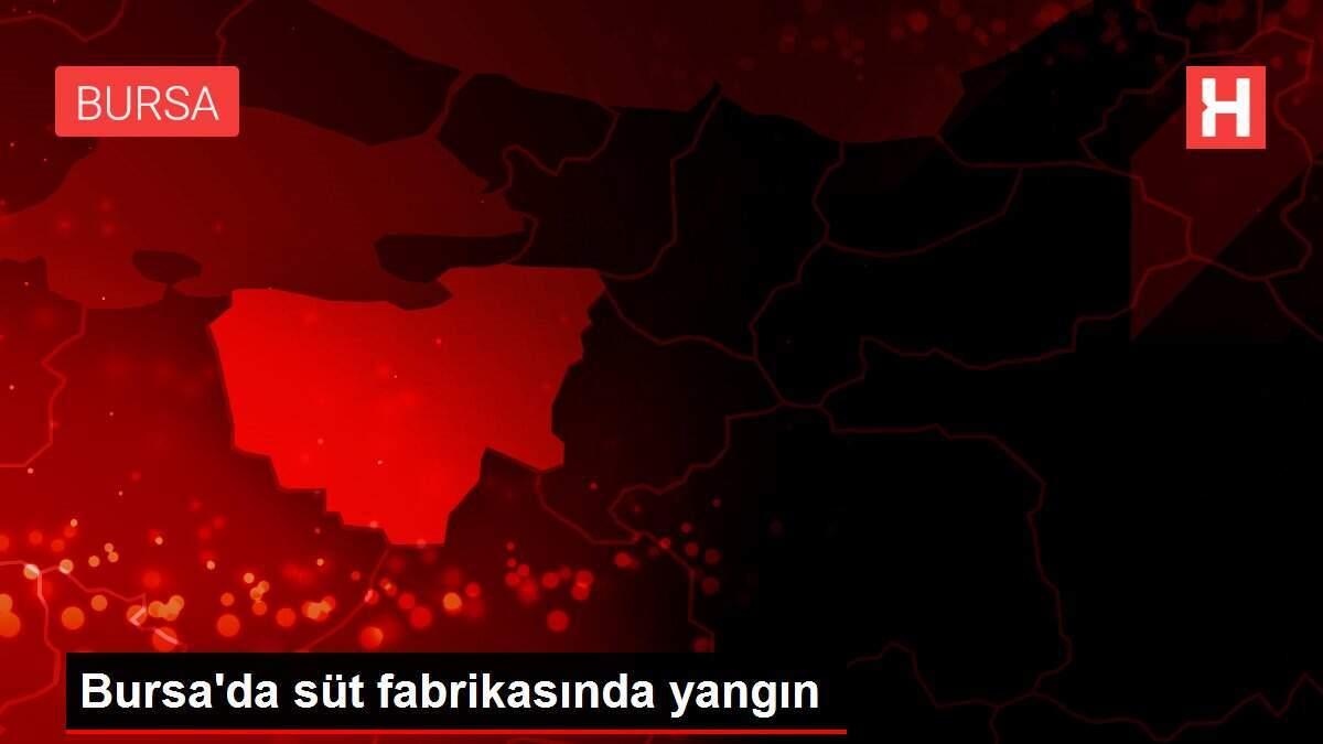 Bursa'da süt fabrikasında yangın