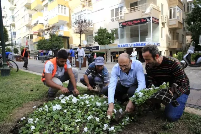 Büyükşehir'den Işıklar'a 12 bin 500 adet çiçek Büyükşehir'den Işıklar'a 12 bin 500 adet çiçek
