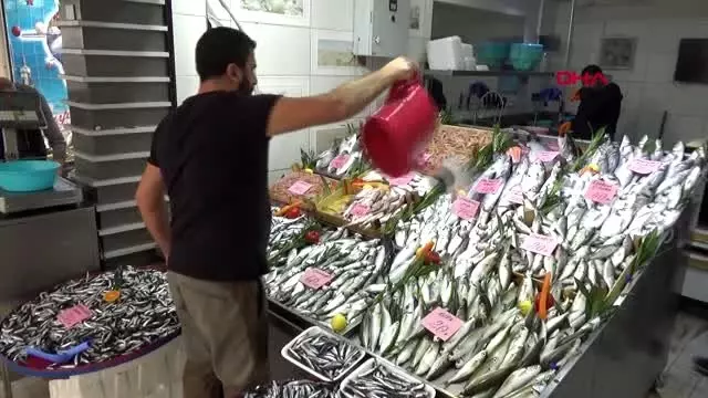 Çanakkale palamut avlanamadı, fiyatlar yüksek