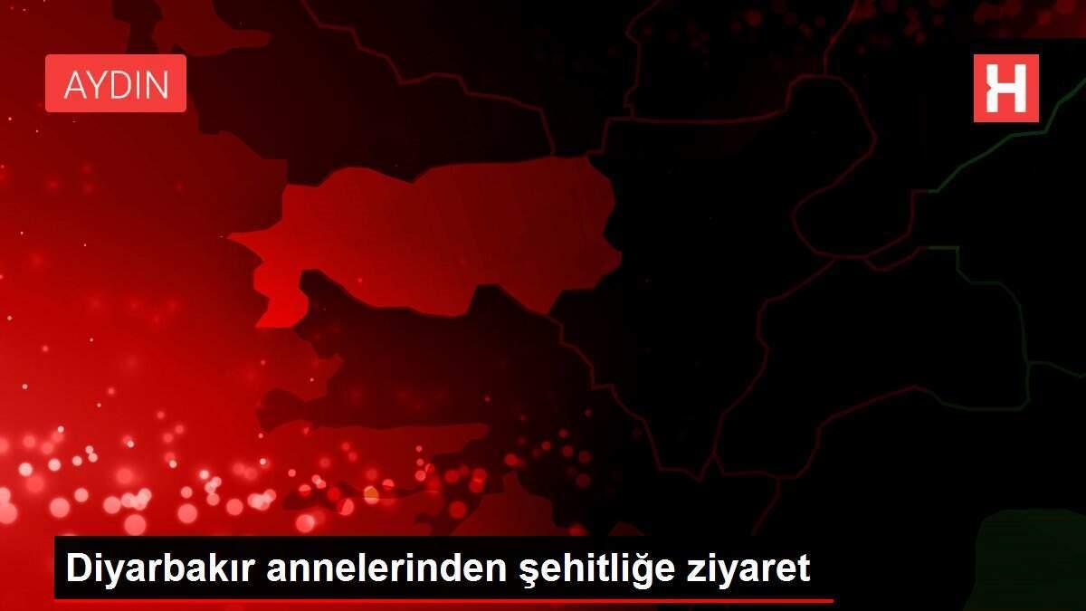 Diyarbakır annelerinden şehitliğe ziyaret