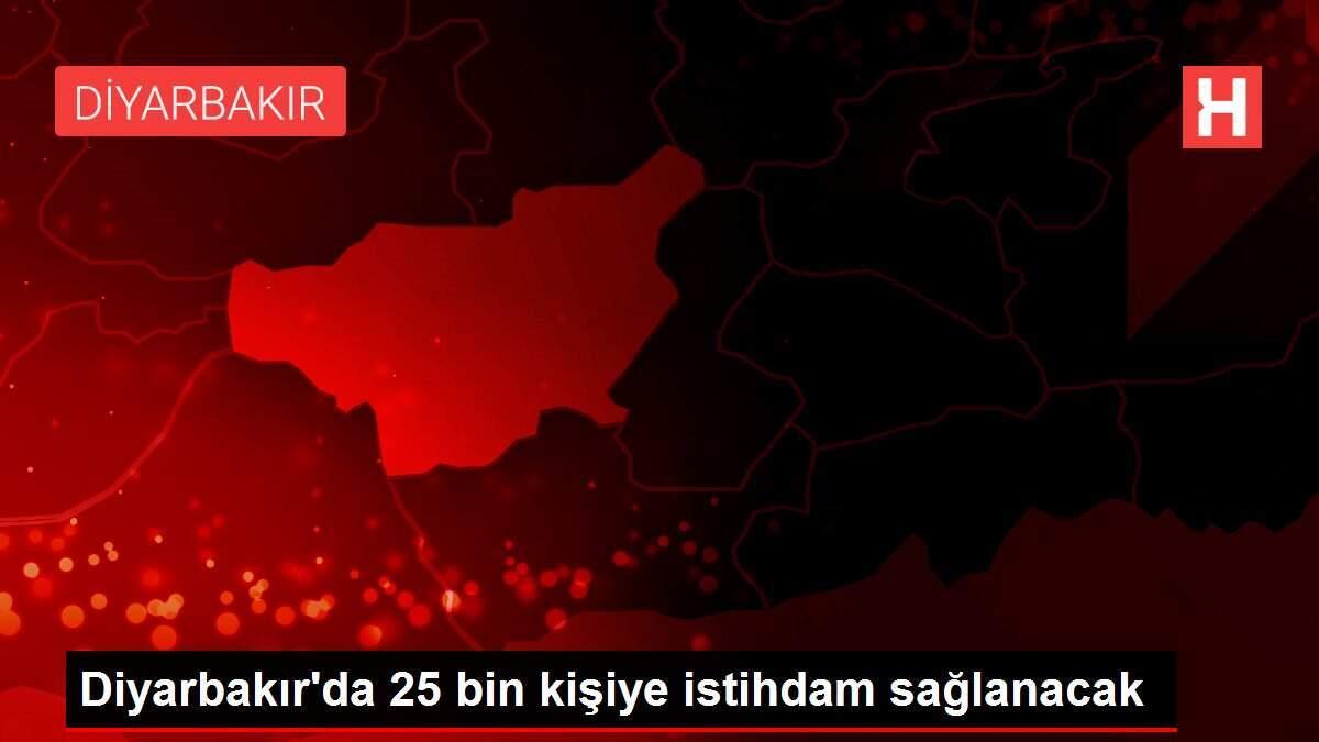 Diyarbakır'da 25 bin kişiye istihdam sağlanacak