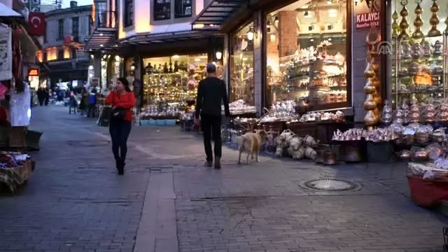 Dünyayı köpeğiyle yürüyerek gezen Amerikalı, Trabzon'a hayran kaldı