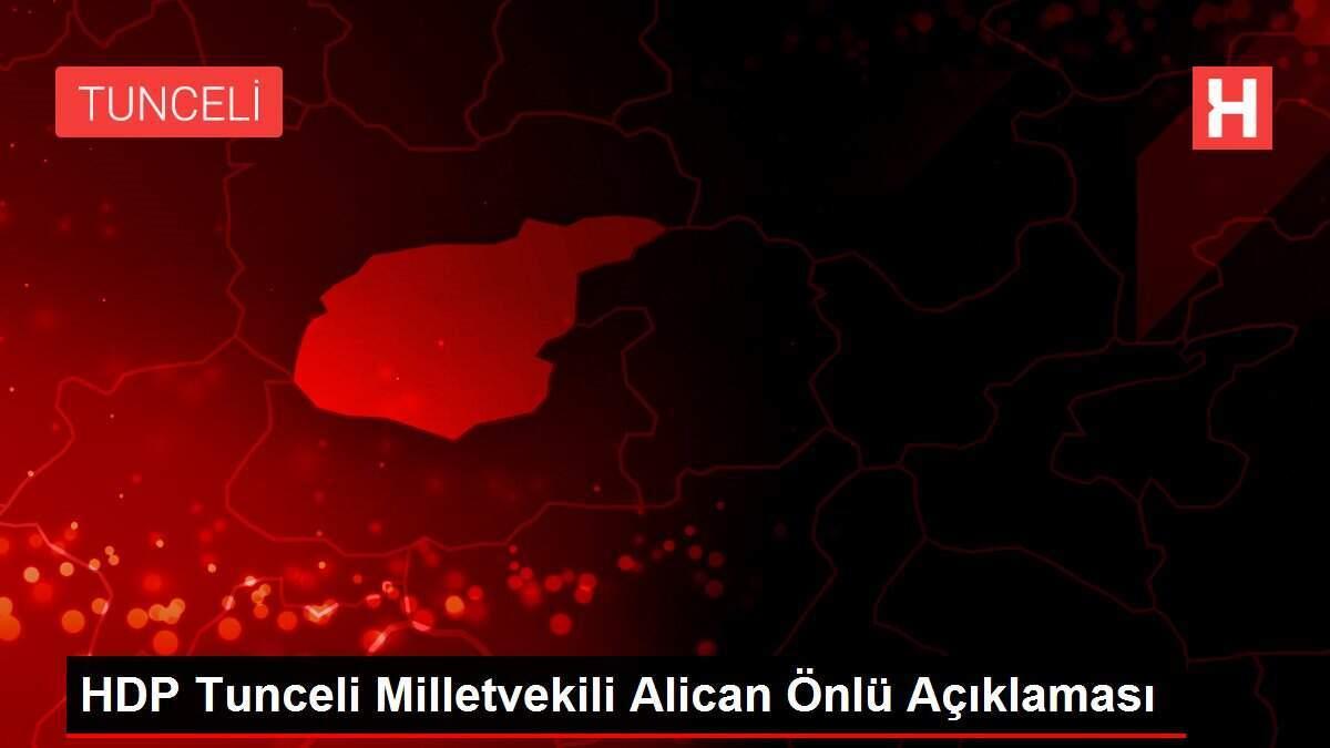 HDP Tunceli Milletvekili Alican Önlü Açıklaması HDP Tunceli Milletvekili Alican Önlü Açıklaması