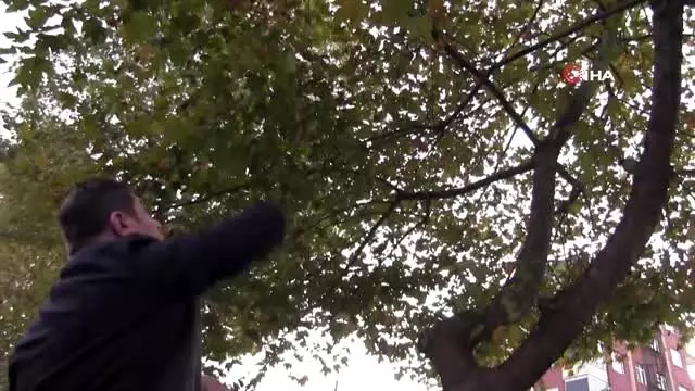 İntihara kalkışan vatandaş, Başkan Tören'in çabasıyla kurtarıldı İntihara kalkışan vatandaş, Başkan Tören'in çabasıyla kurtarıldı