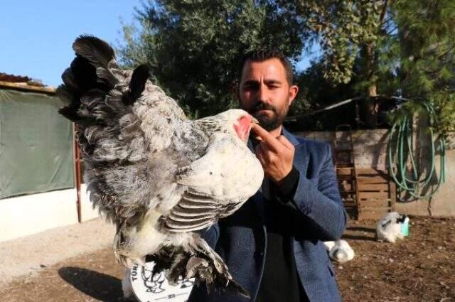 İşini bırakıp yetiştirmeye başladığı Brahma cinsi tavuk ve horozlardan geçen yıl 200 bin lira kazandı