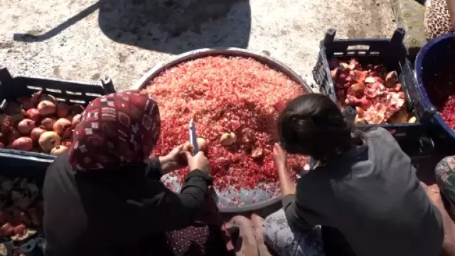 Kooperatif kuran kadınlar 'yapamazsınız' diyen erkekleri de işe aldı