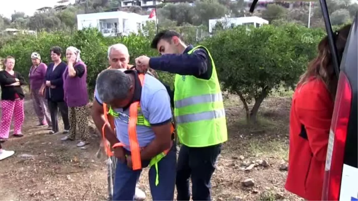 Kuyuya düşen yaban domuzu kurtarıldı