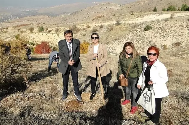 Malatya'da 6 bin badem ekimi