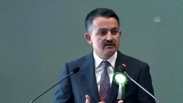 Pakdemirli: