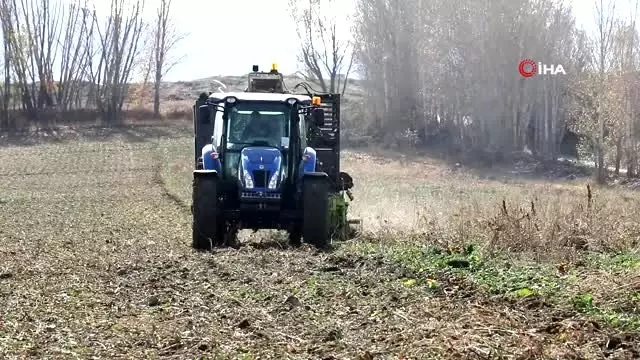 Şeker pancarı üreticileri, firmanın yüksek fire oranı göstermesinden dertli Şeker pancarı üreticileri, firmanın yüksek fire oranı göstermesinden dertli