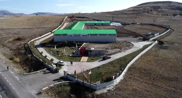 Sivas'tan 81 ile keçi peyniri Sivas'tan 81 ile keçi peyniri