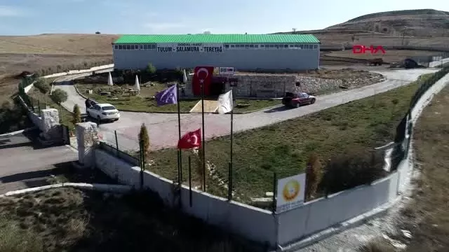 Sivas'tan 81 ile keçi peyniri Sivas'tan 81 ile keçi peyniri