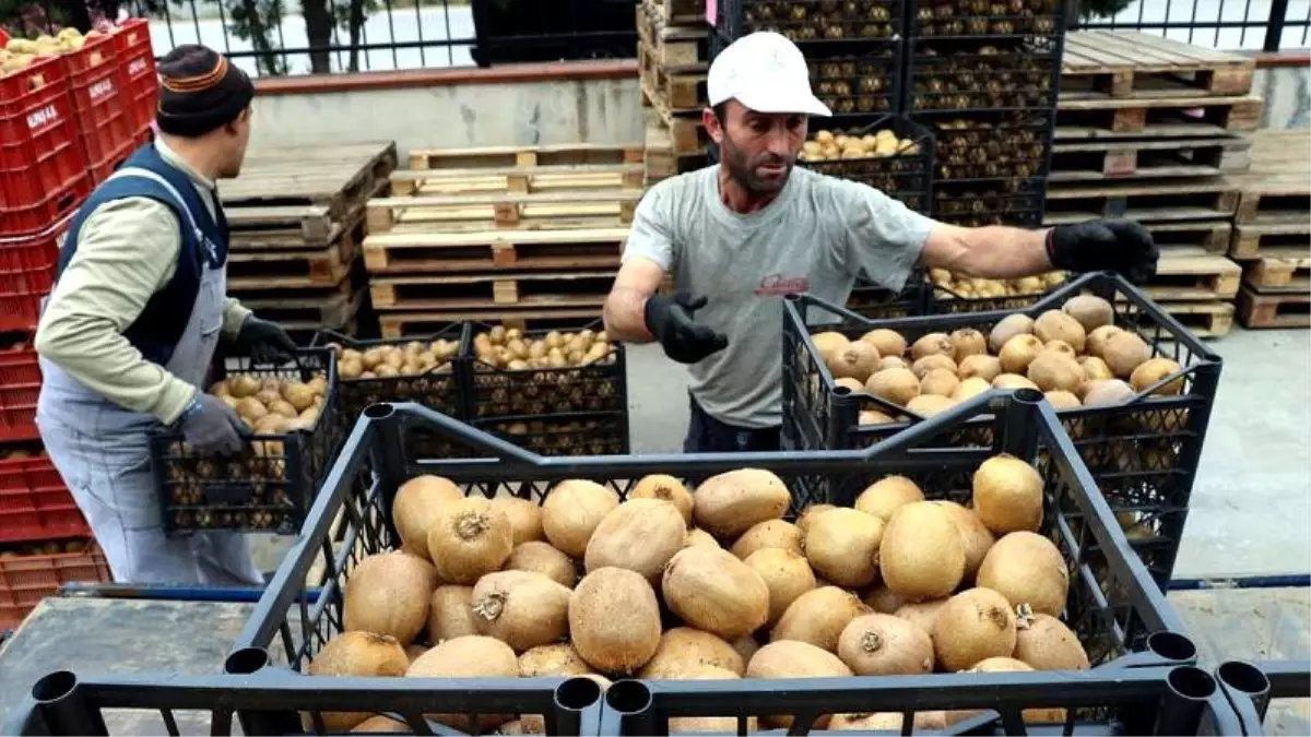 Görüş: Türkiye'de en çok gençler işsiz, işi olanların da geliri düşük