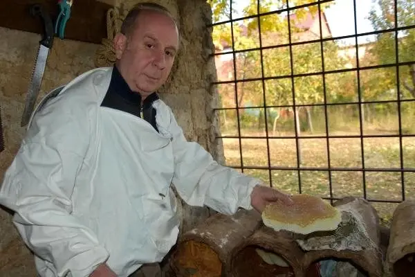 Türkiye'nin bal ihtiyacının yüzde 2'si Bitlis'ten