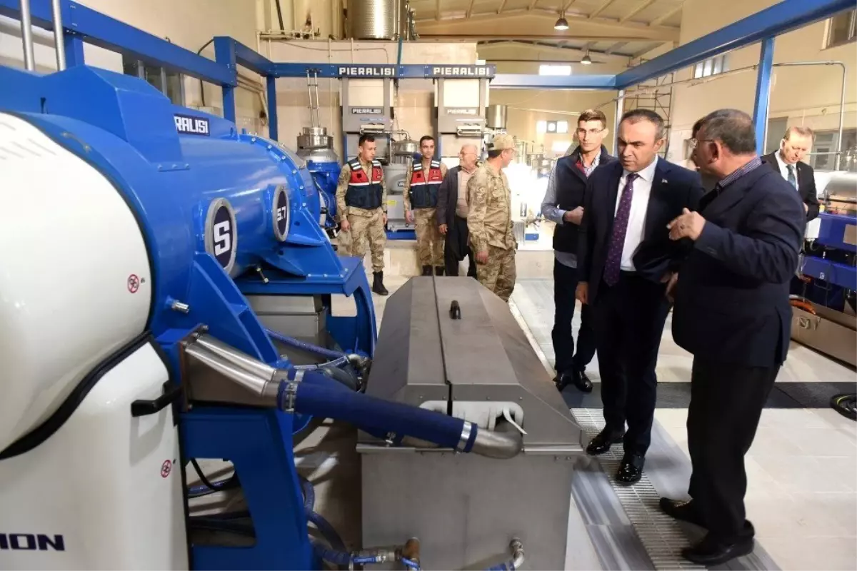 Vali Soytürk Zeytinyağı fabrikasında