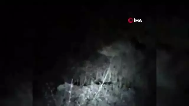 Yola çıkan tilkiyi vatandaşlar besledi Yola çıkan tilkiyi vatandaşlar besledi
