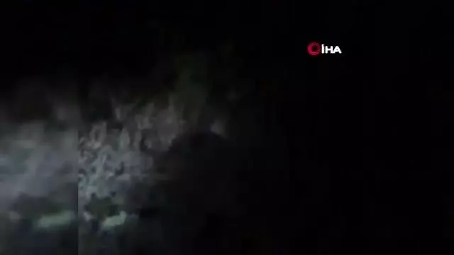 Yola çıkan tilkiyi vatandaşlar besledi Yola çıkan tilkiyi vatandaşlar besledi