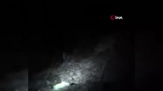 Yola çıkan tilkiyi vatandaşlar besledi Yola çıkan tilkiyi vatandaşlar besledi