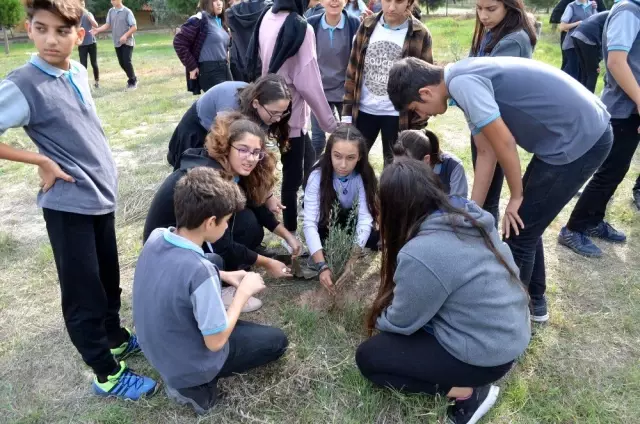 Didim'de liseli öğrenciler okullarına zeytin fidanı dikti