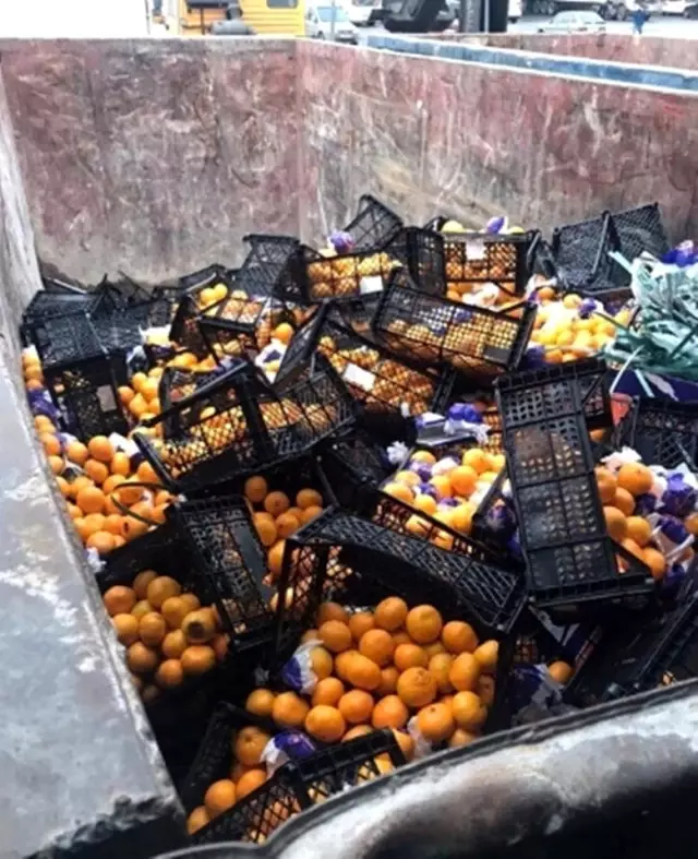 Rusya'ya gönderdiğimiz 21 ton mandalina yanlış etiketleme nedeniyle imha edildi