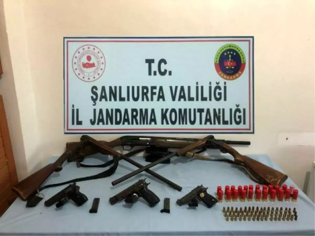 Viranşehir'de silah kaçakçılığına 4 tutuklama